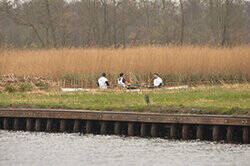 weerribben-wiedentocht-250-px-voor-nf-marathonroeien